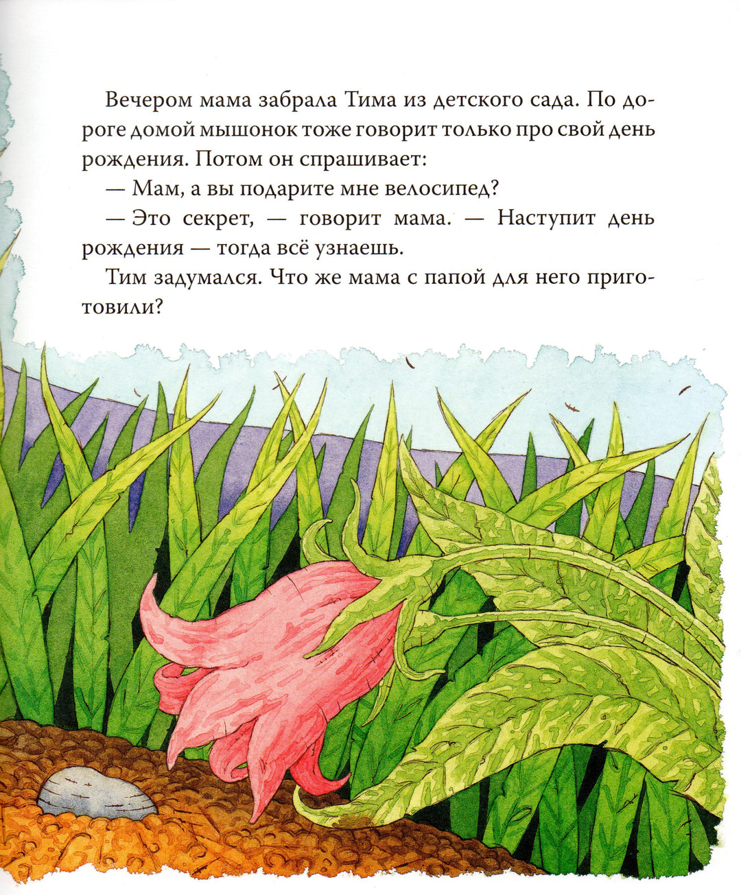 Мышонок Тим. А что вы мне подарите?-Казалис А.-Росмэн-Lookomorie