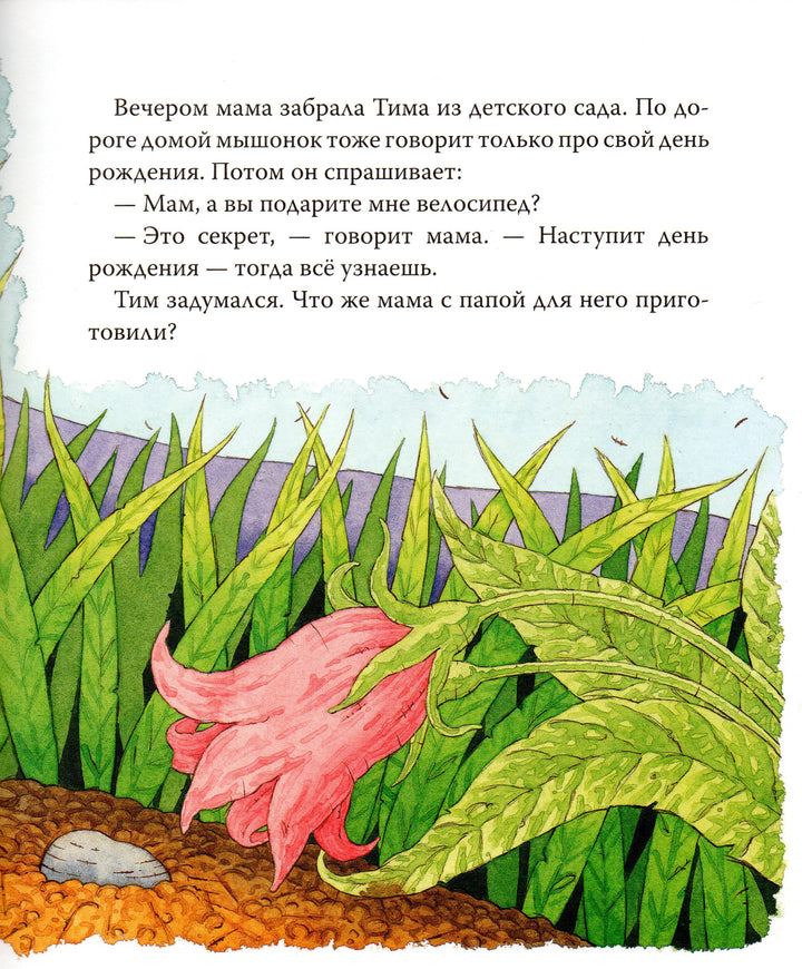 Мышонок Тим. А что вы мне подарите?-Казалис А.-Росмэн-Lookomorie