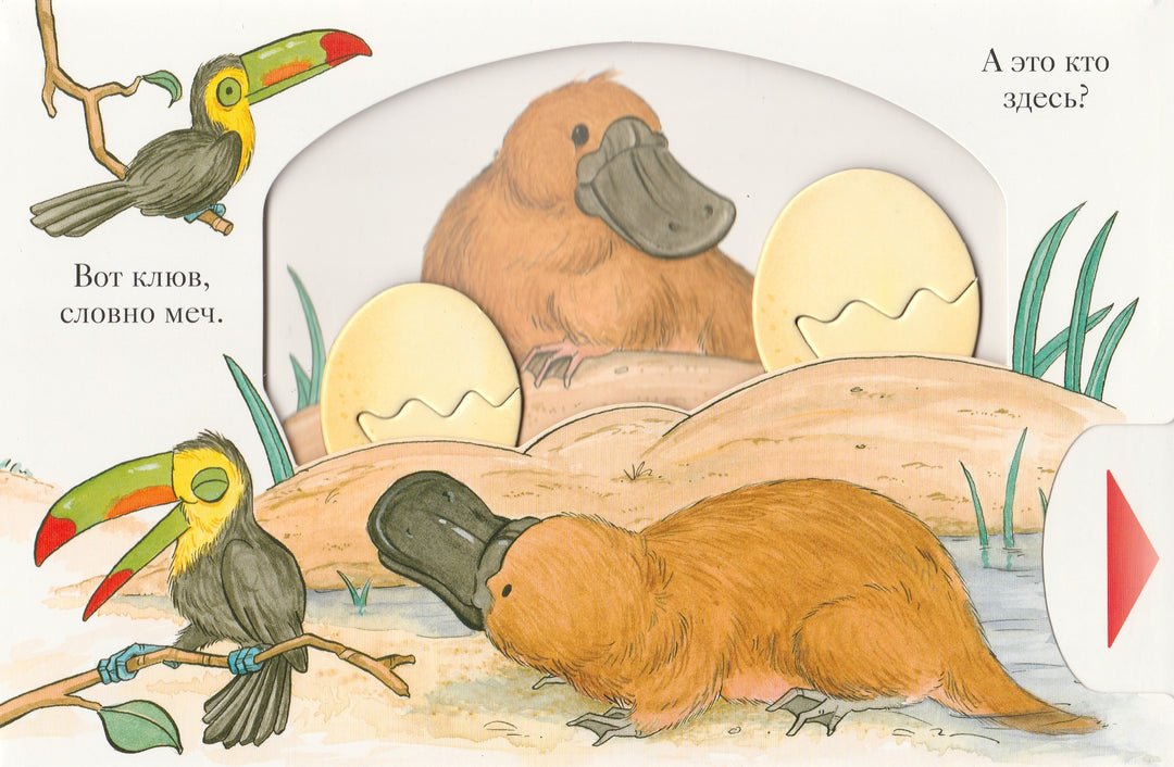 М. Ван Флит Вот так морды!-Ван Флит М.-Махаон-Lookomorie