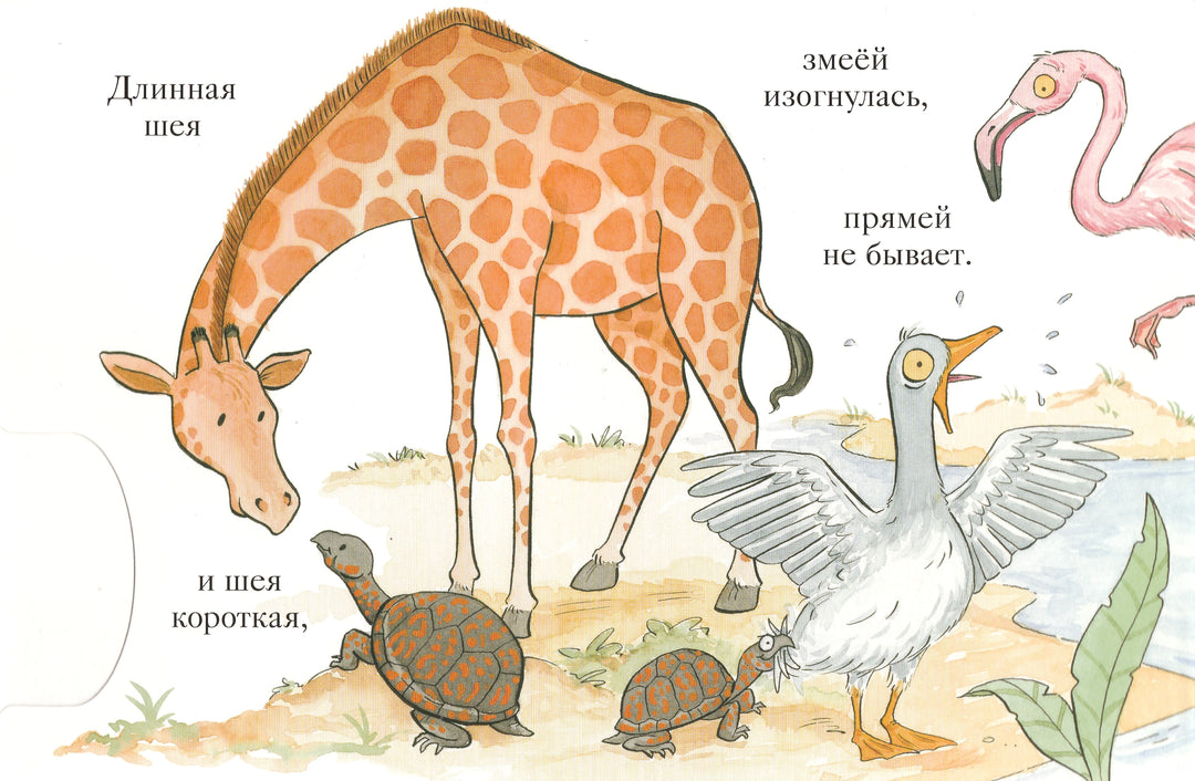 М. Ван Флит Вот так морды!-Ван Флит М.-Махаон-Lookomorie