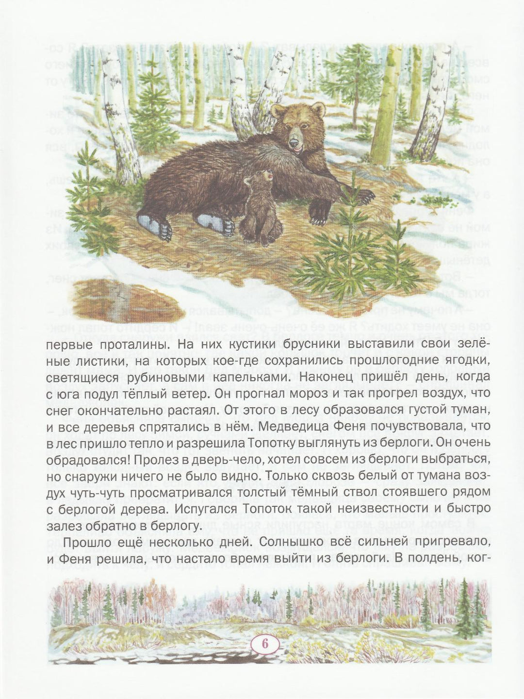 Пажетнов В. Медвежонок Топоток. Сказки русского леса-Пажетнов В.-Вакоша-Lookomorie