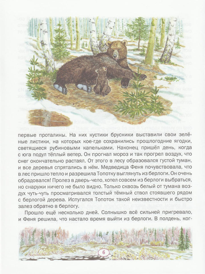 Пажетнов В. Медвежонок Топоток. Сказки русского леса-Пажетнов В.-Вакоша-Lookomorie