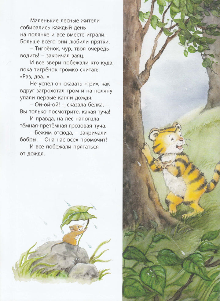 Подарок на день рождения. Книжка-Улыбка-Кремер М.-Энас-Книга-Lookomorie