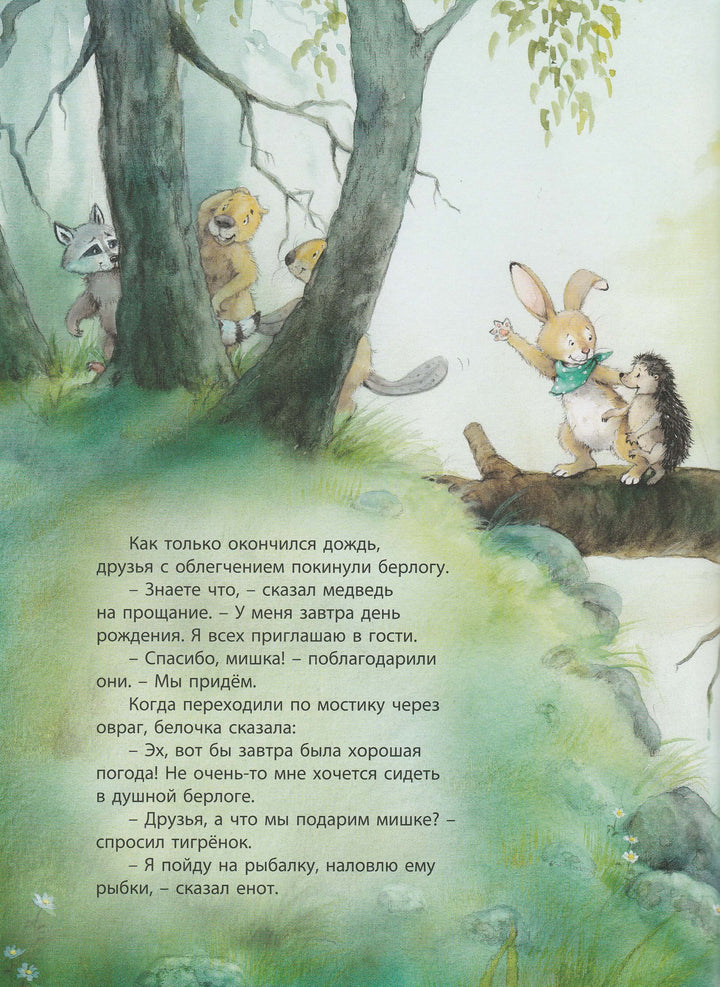 Подарок на день рождения. Книжка-Улыбка-Кремер М.-Энас-Книга-Lookomorie