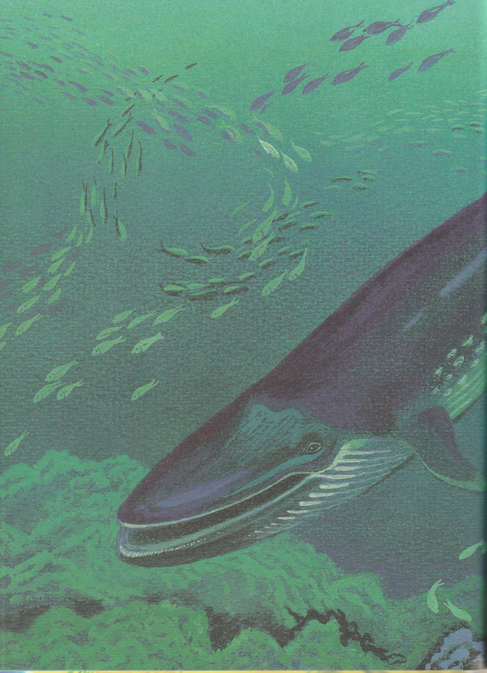 Почему так много "почему". Сказки о природе-Дружков Ю.-Лаборатория знаний-Lookomorie