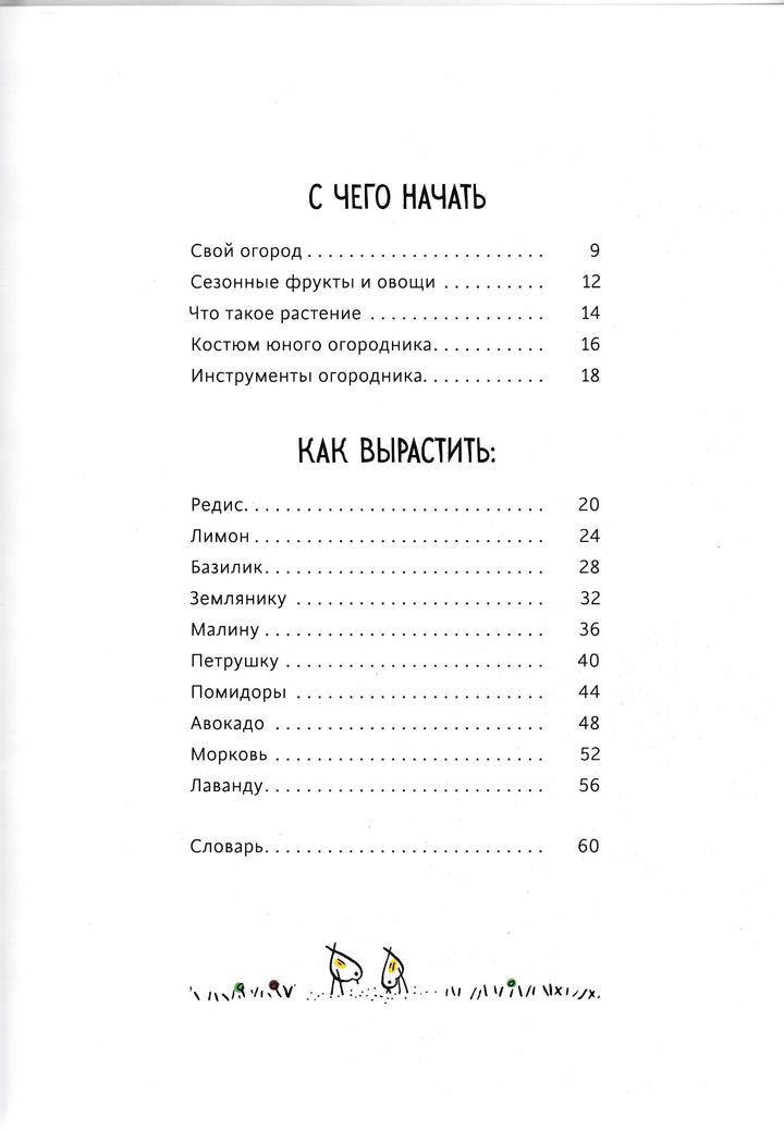 Огород круглый год-Энинк Т.-Манн, Иванов и Фербер-Lookomorie