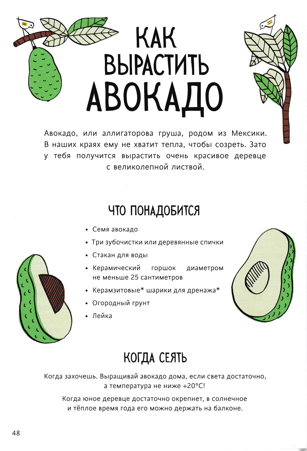 Огород круглый год-Энинк Т.-Манн, Иванов и Фербер-Lookomorie