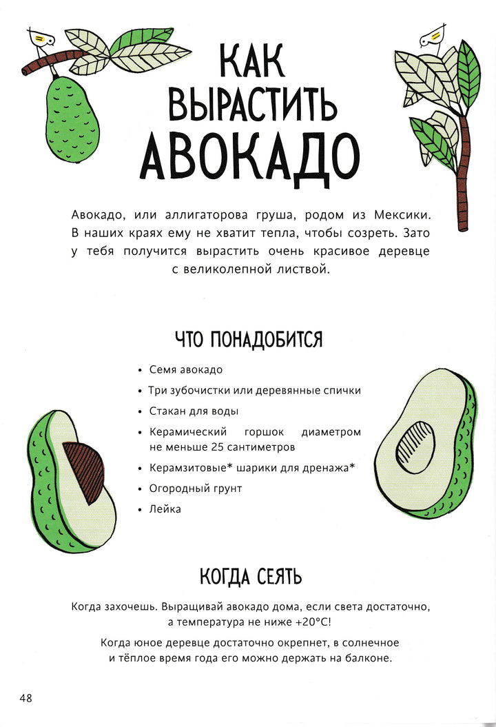 Огород круглый год-Энинк Т.-Манн, Иванов и Фербер-Lookomorie