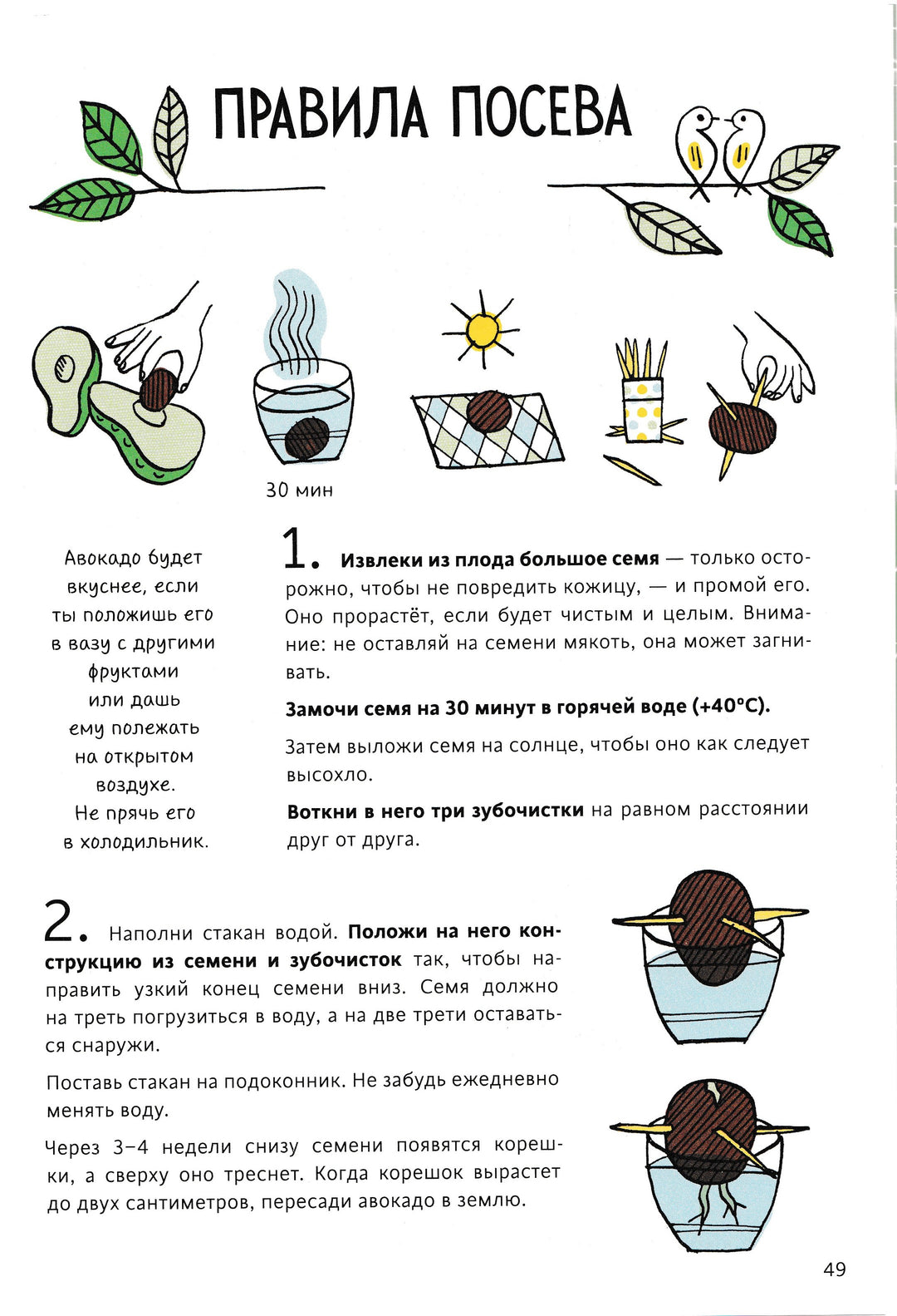Огород круглый год-Энинк Т.-Манн, Иванов и Фербер-Lookomorie