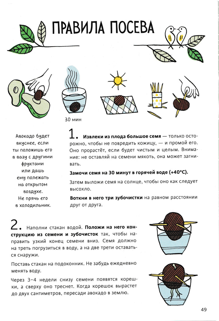 Огород круглый год-Энинк Т.-Манн, Иванов и Фербер-Lookomorie