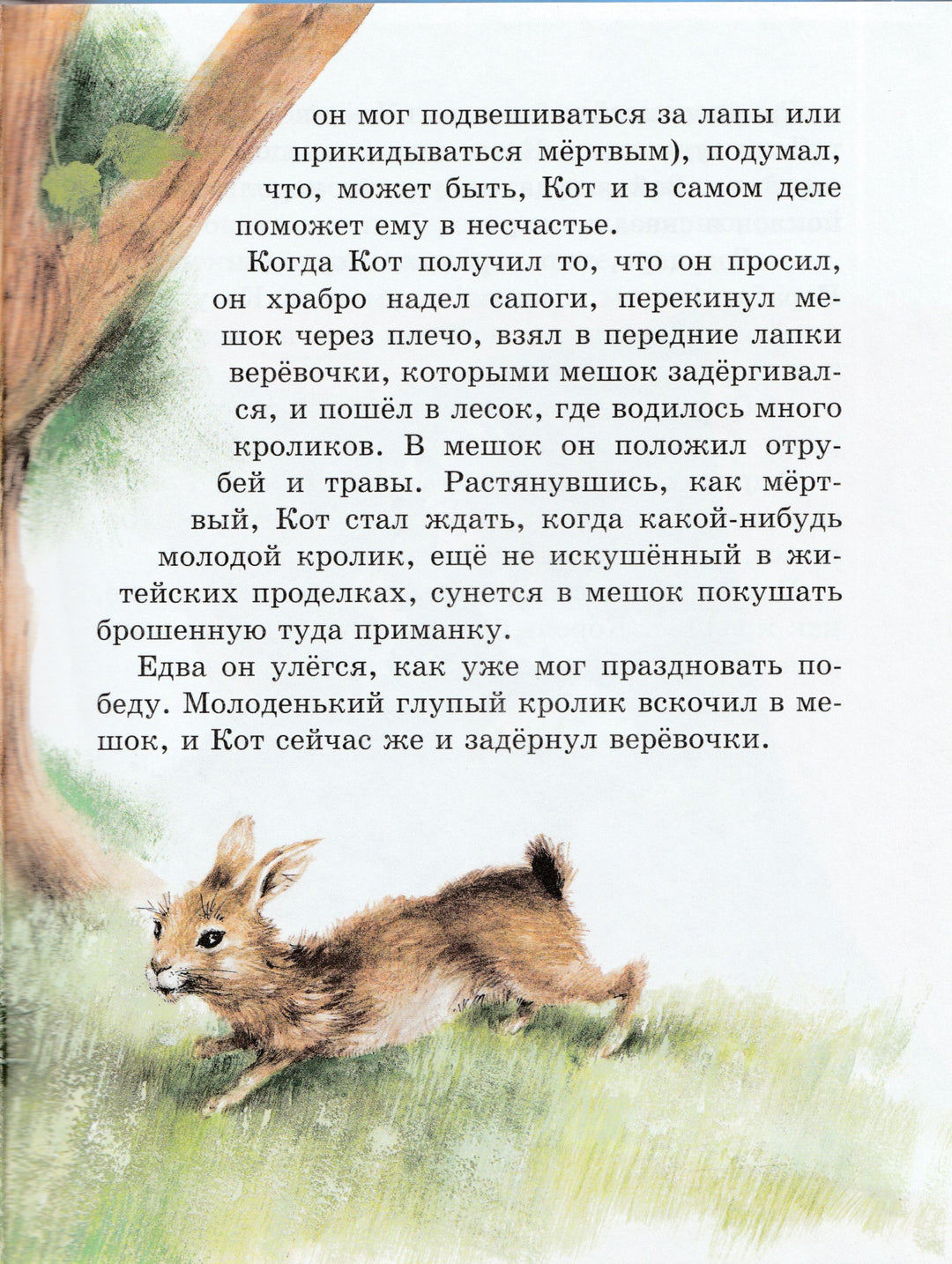 Звездная коллекция самых красивых сказок (пер. Ганзен А., илл. Дюран П.)-Перро Ш.-Эксмодетство-Lookomorie