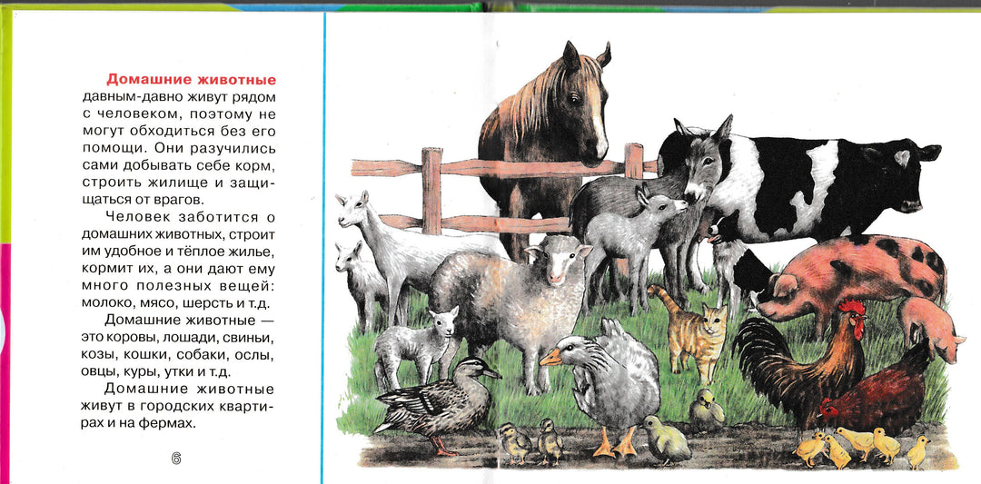 Домашние животные. Веселые уроки-Шалаева Г.-АСТ-Lookomorie