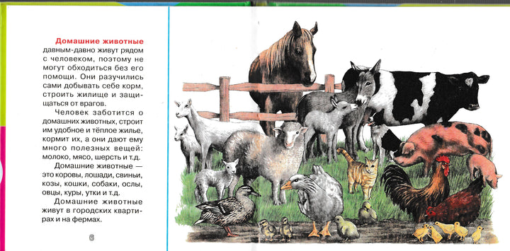 Домашние животные. Веселые уроки-Шалаева Г.-АСТ-Lookomorie