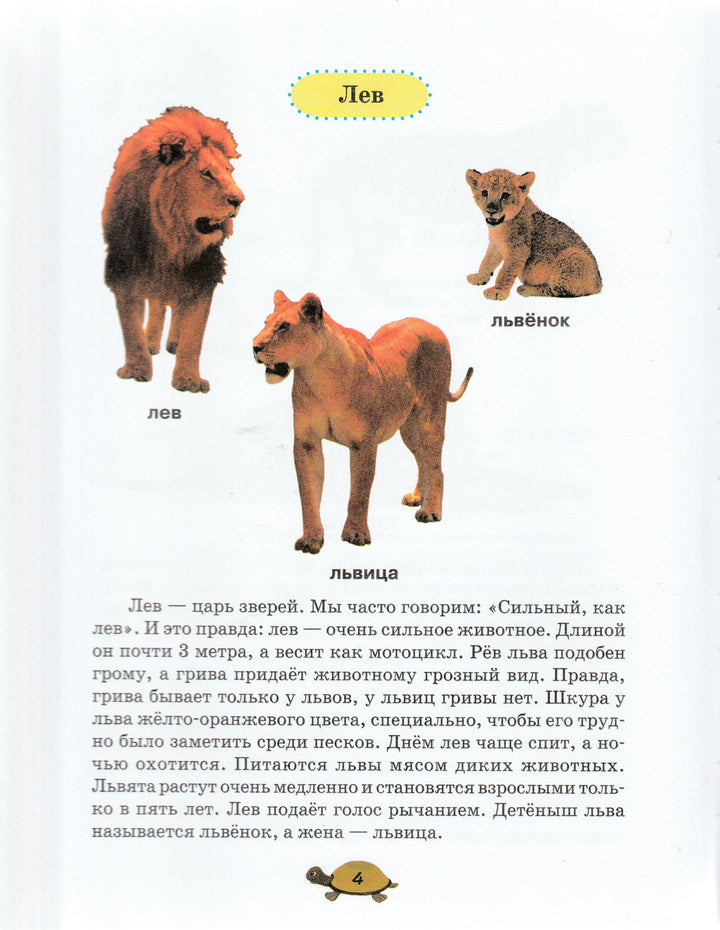 Чей я малыш? Школа раннего развития-Шалаева Г.-АСТ-Lookomorie