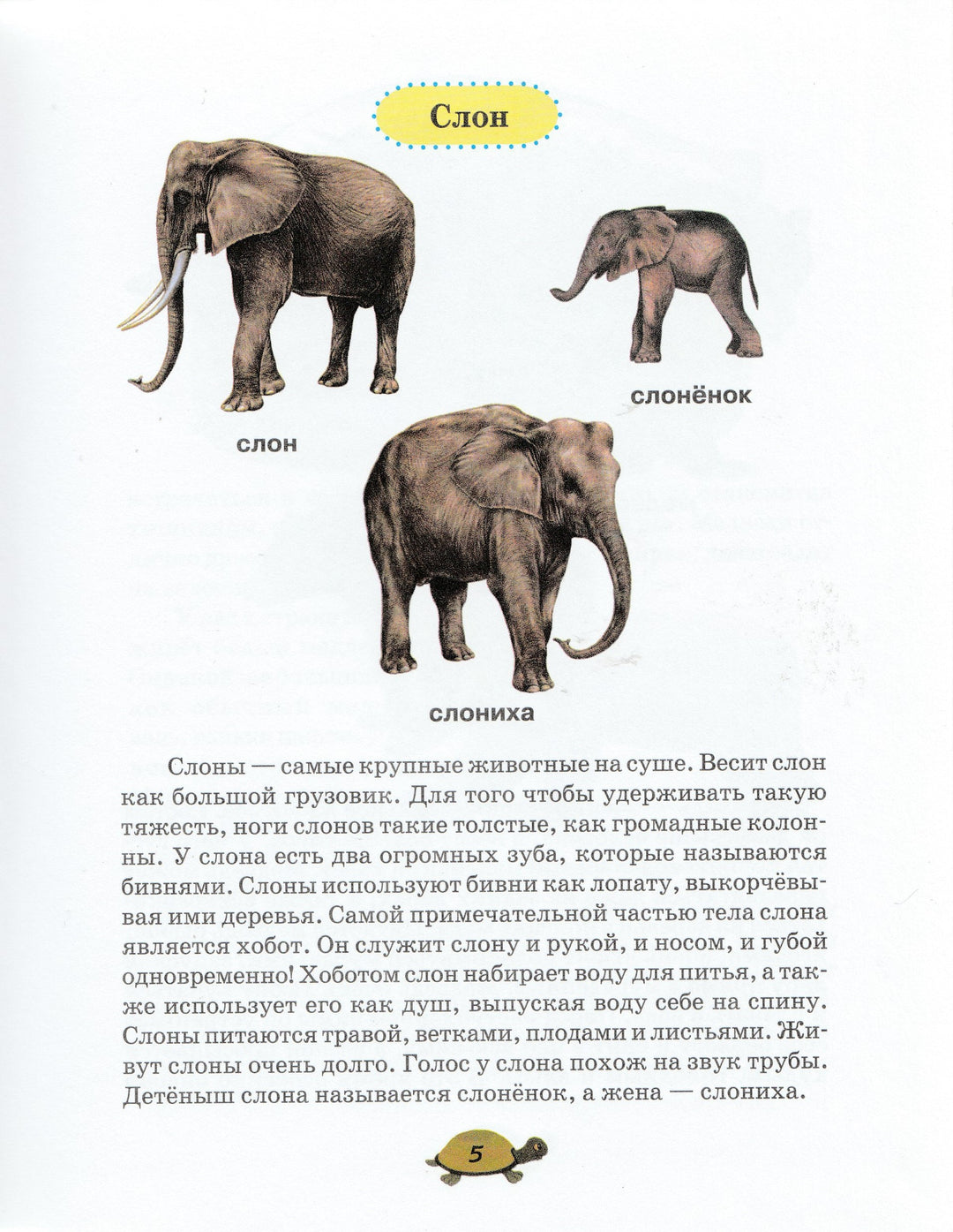Чей я малыш? Школа раннего развития-Шалаева Г.-АСТ-Lookomorie