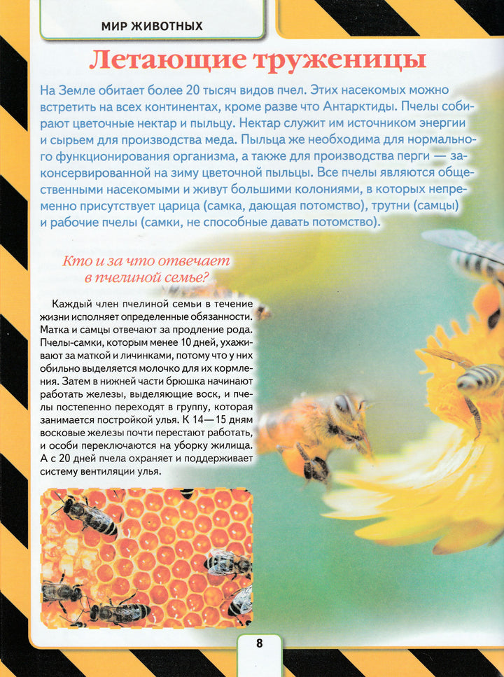 Энциклопедия для настоящих мальчишек-Коллектив авторов-АСТ-Lookomorie