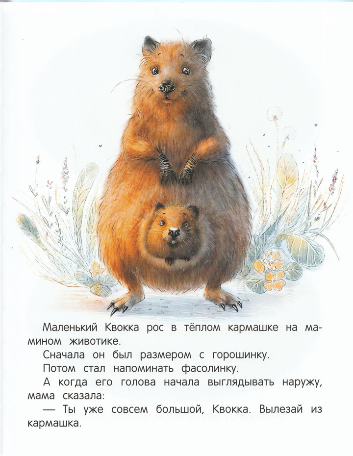 Зартайская И. День семьи-Зартайская И.-Феникс-Lookomorie