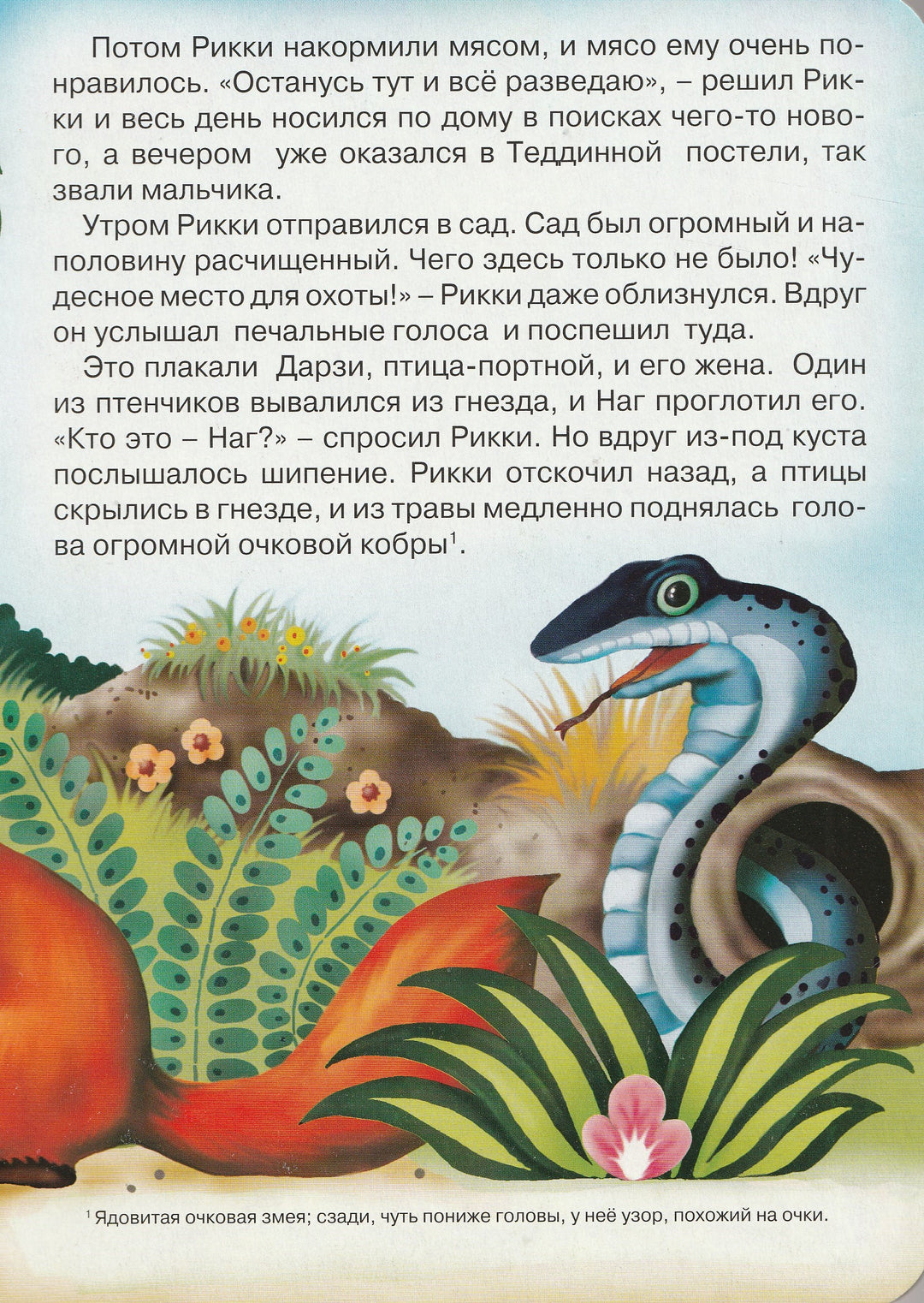 Рикки-Тикки-Тави. Книжки с DVD. Книжки-картонки-Киплинг Р. -Проф-Пресс-Lookomorie