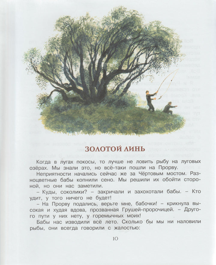 Корзина с еловыми шишками-Паустовский К.-Махаон-Lookomorie