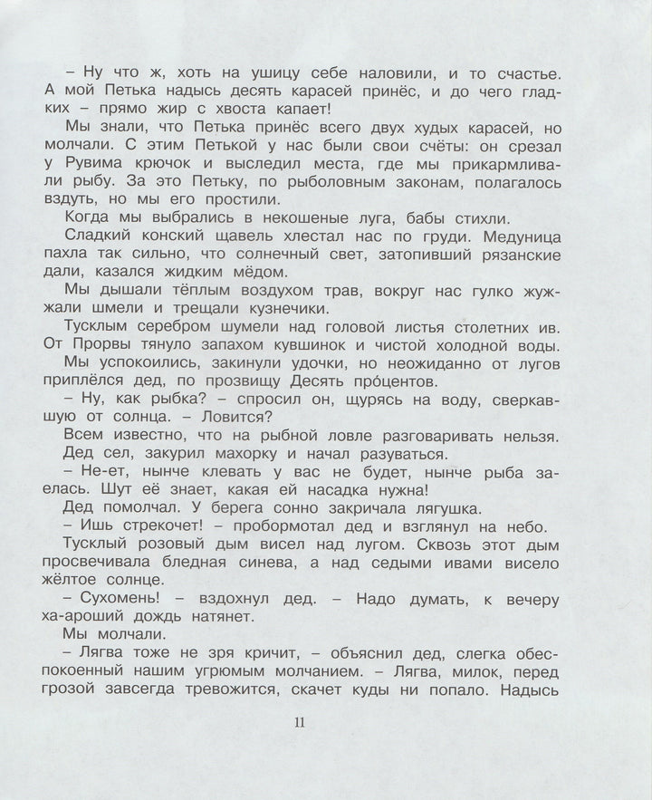Корзина с еловыми шишками-Паустовский К.-Махаон-Lookomorie