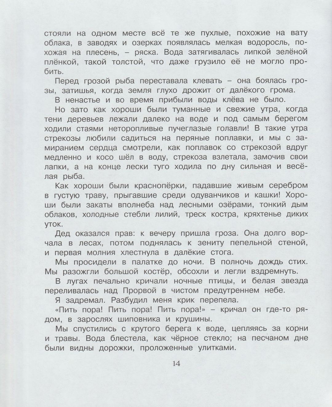 Корзина с еловыми шишками-Паустовский К.-Махаон-Lookomorie