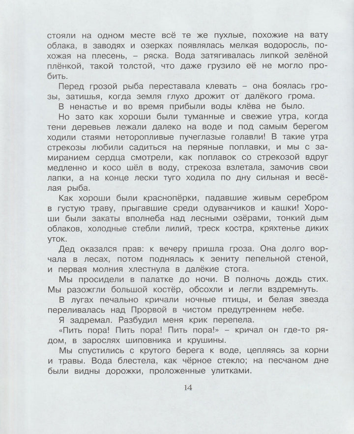 Корзина с еловыми шишками-Паустовский К.-Махаон-Lookomorie