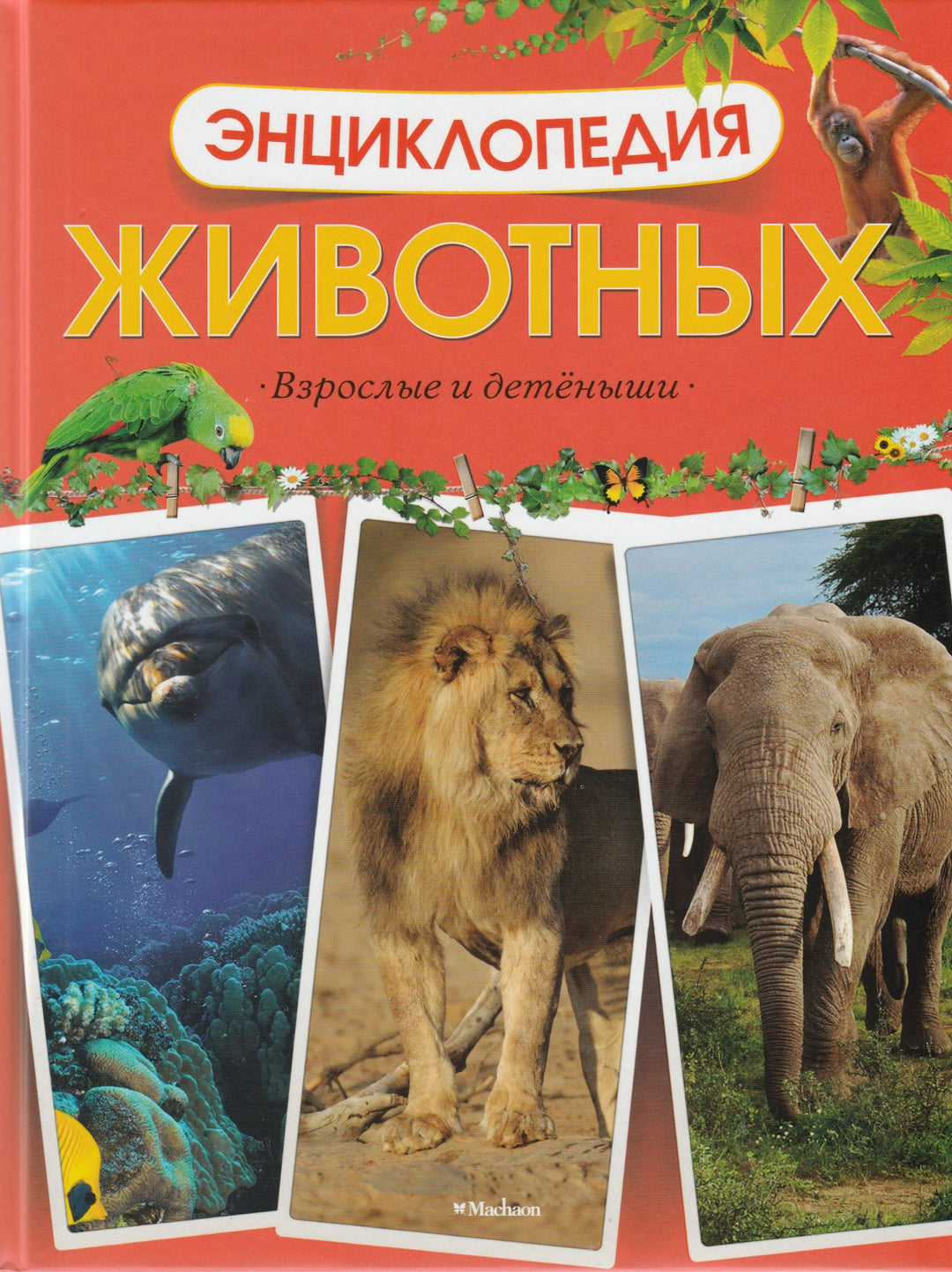 Энциклопедия животных. Взрослые и детеныши-Харрис Т.-Махаон-Lookomorie