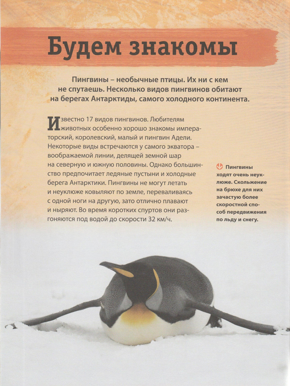Энциклопедия животных. Взрослые и детеныши-Харрис Т.-Махаон-Lookomorie