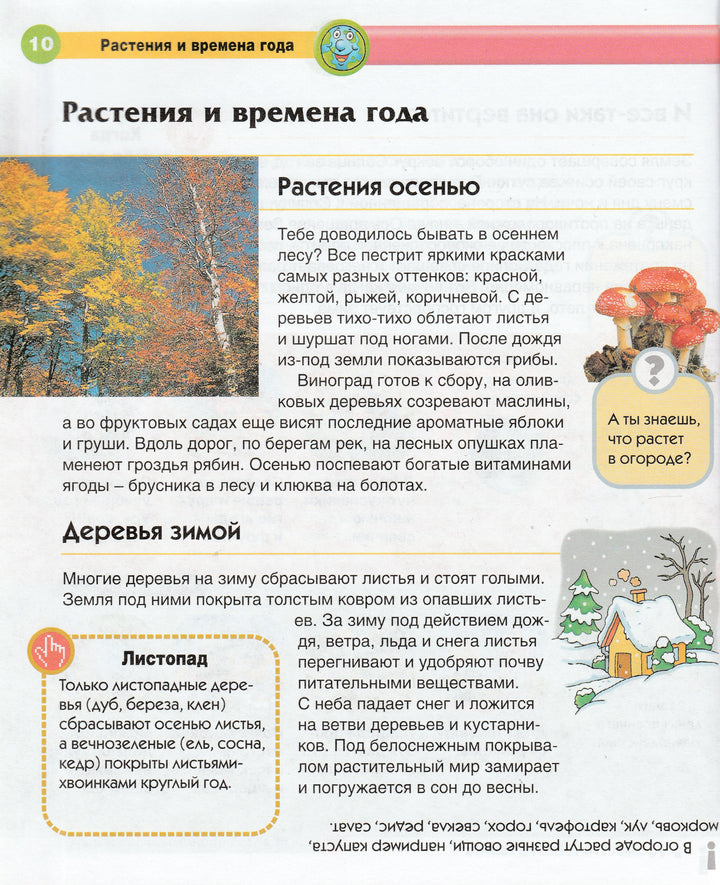 Времена года. Энциклопедия для детей-Прати Э.-Махаон-Lookomorie