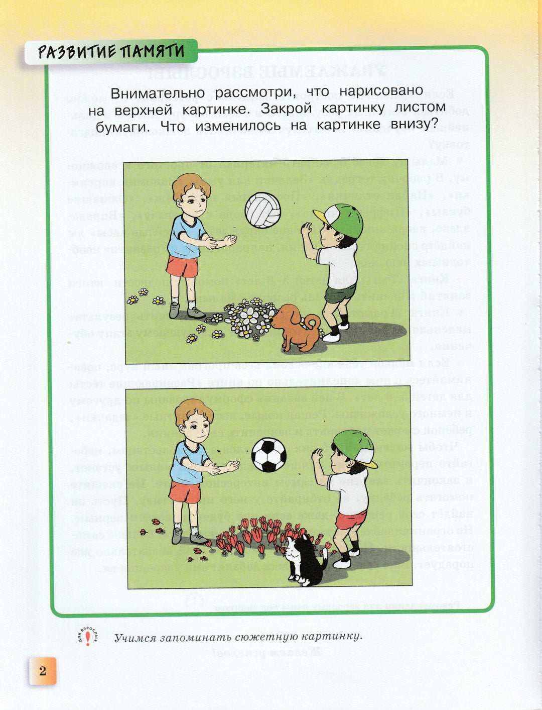 Развивающие тесты для детей 5-6 лет-Земцова О.-Махаон-Lookomorie
