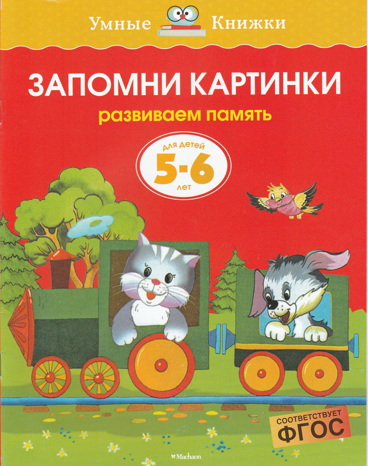 Запомни картинки. Развиваем память (для детей 5-6 лет)-Земцова О.-Махаон-Lookomorie