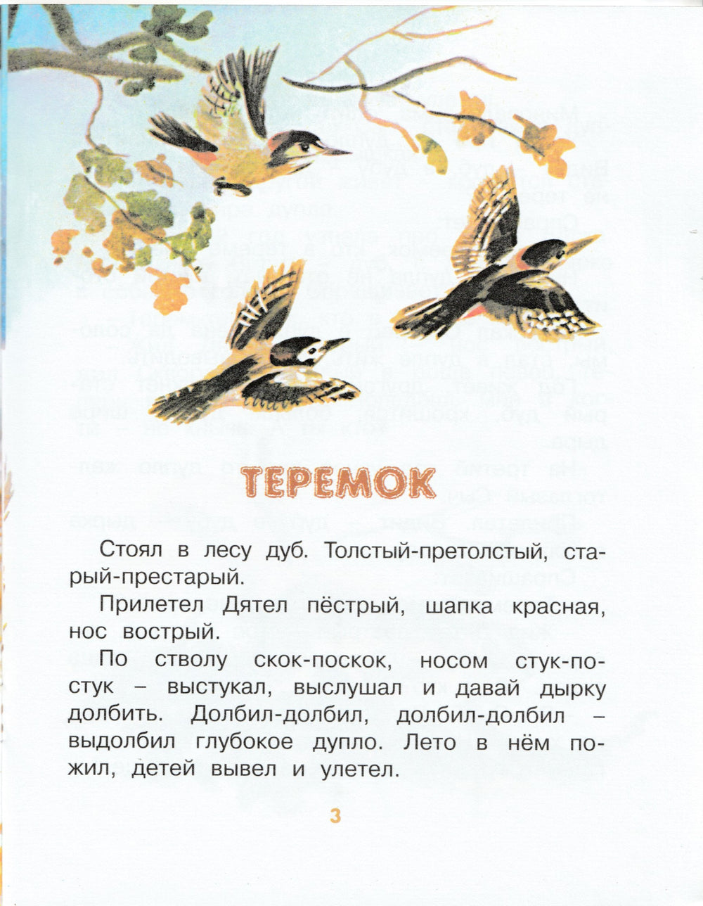 Бианки В. Теремок (рис. Т. Васильева). Мои любимые книжки-Бианки В.-Азбука-Аттикус-Lookomorie