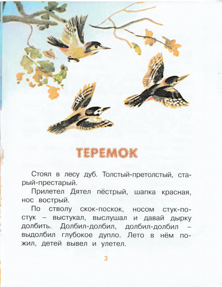 Бианки В. Теремок (рис. Т. Васильева). Мои любимые книжки-Бианки В.-Азбука-Аттикус-Lookomorie