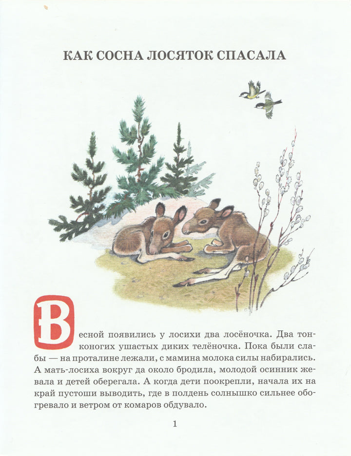 Как сосна лосяток спасала (илл. П. Репкин)-Афоньшин С.-НИГМА-Lookomorie