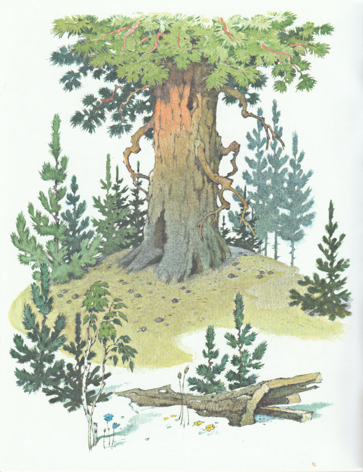 Как сосна лосяток спасала (илл. П. Репкин)-Афоньшин С.-НИГМА-Lookomorie