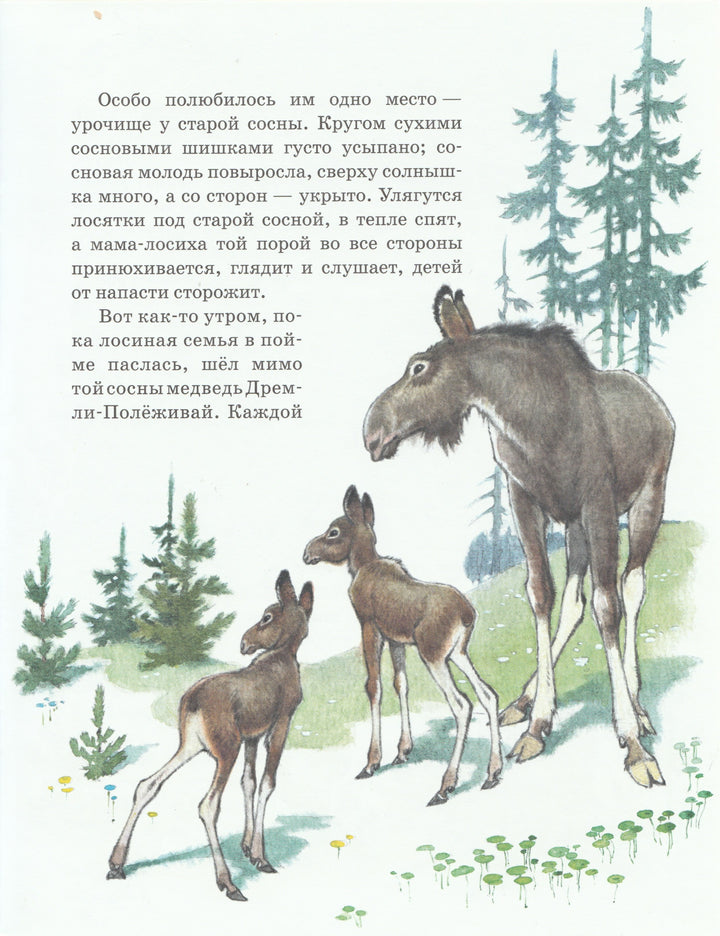Как сосна лосяток спасала (илл. П. Репкин)-Афоньшин С.-НИГМА-Lookomorie