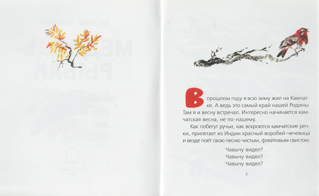 Чарушин Е. Медведь-рыбак-Чарушин Е.-Акварель, Команда А-Lookomorie