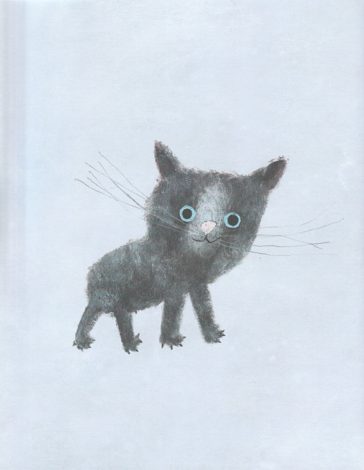 Что нужно маленькой кошке-Шалошвили Н.-Поляндрия-Lookomorie