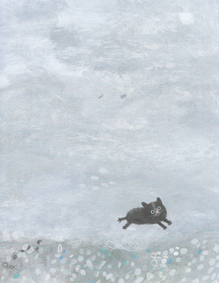 Что нужно маленькой кошке-Шалошвили Н.-Поляндрия-Lookomorie