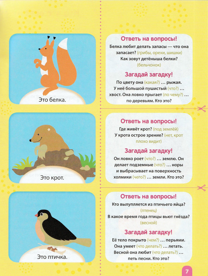 Новый ребенок гений с пеленок. Загадки с сюрпризом 3+-Янушко Е.-Эксмо-Lookomorie