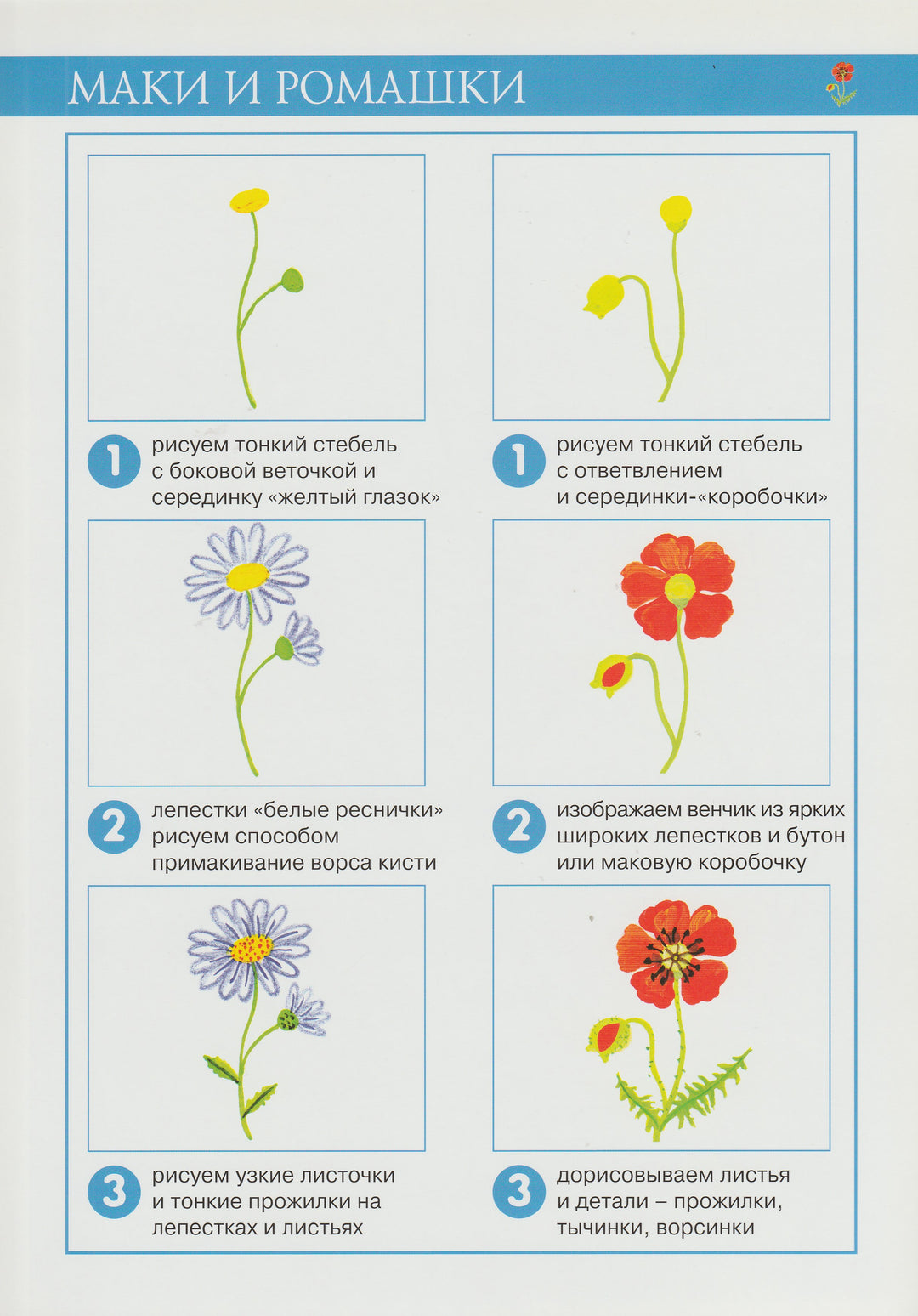 Любимые цветы. Рисование красками. 5-8 лет. Серия "Шаг за шагом"-Лыкова И.-Карапуз-Lookomorie