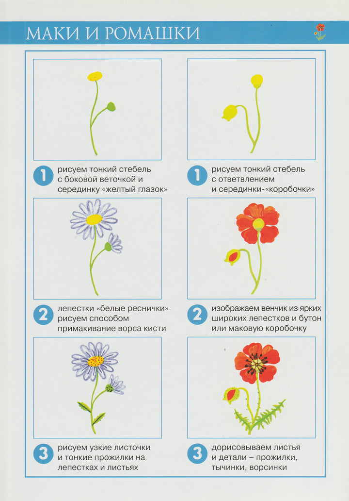 Любимые цветы. Рисование красками. 5-8 лет. Серия "Шаг за шагом"-Лыкова И.-Карапуз-Lookomorie