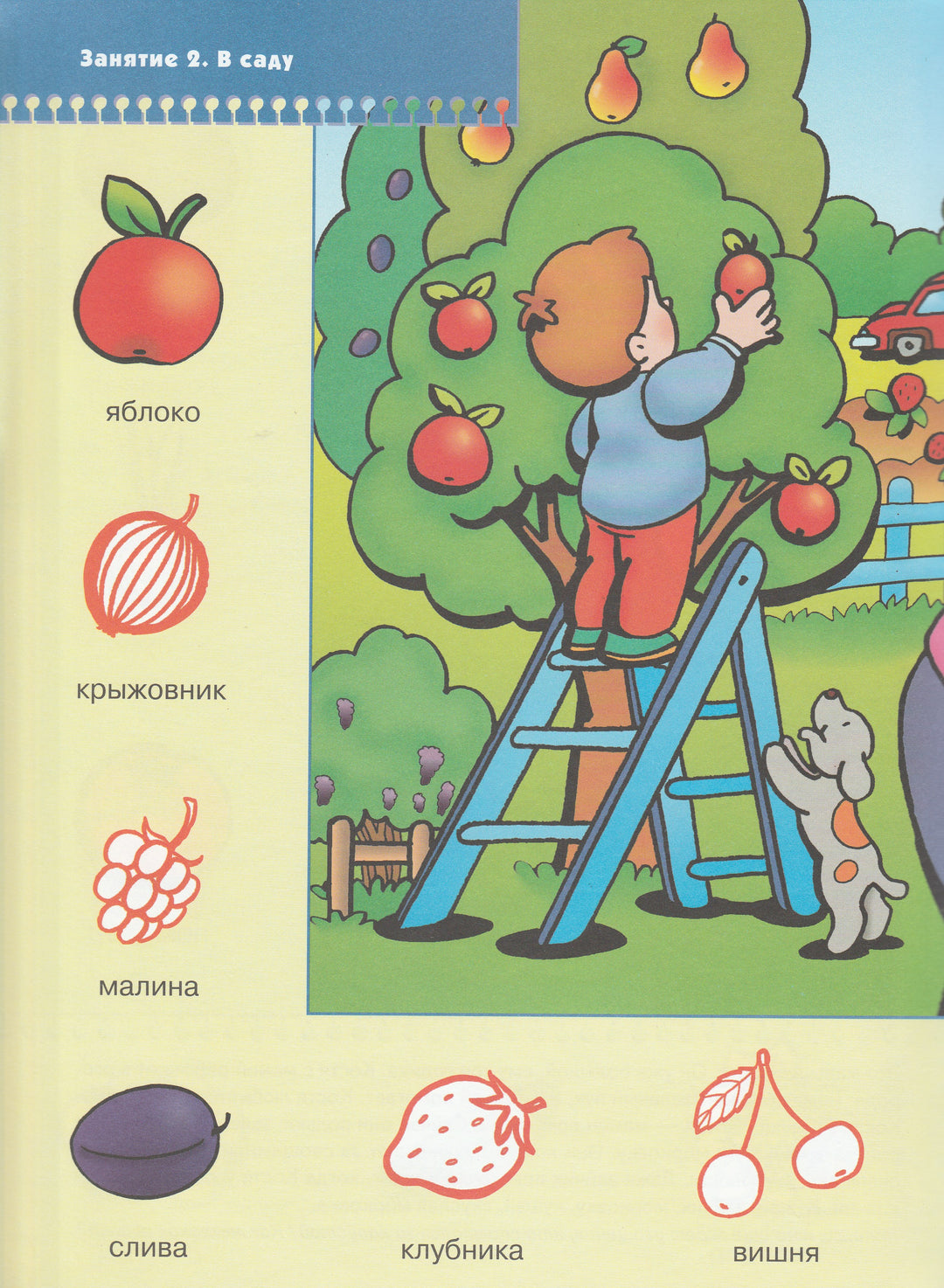 Школа семи гномов. В деревне и на даче 1+-Денисова Д.-Мозаика-Синтез-Lookomorie