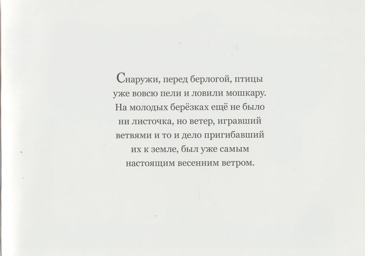 Медвежье чудо-Вольф Эрльбрух-КомпасГид-Lookomorie