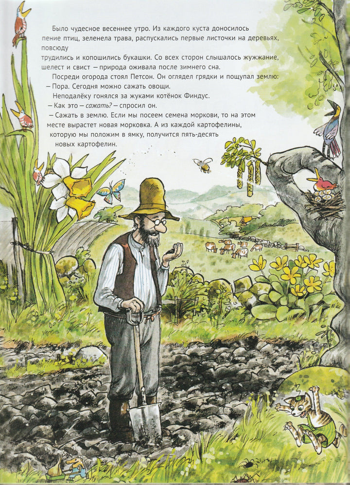 С. Нурдквист. Переполох в огороде-Нурдквист С.-Альбус корвус-Lookomorie