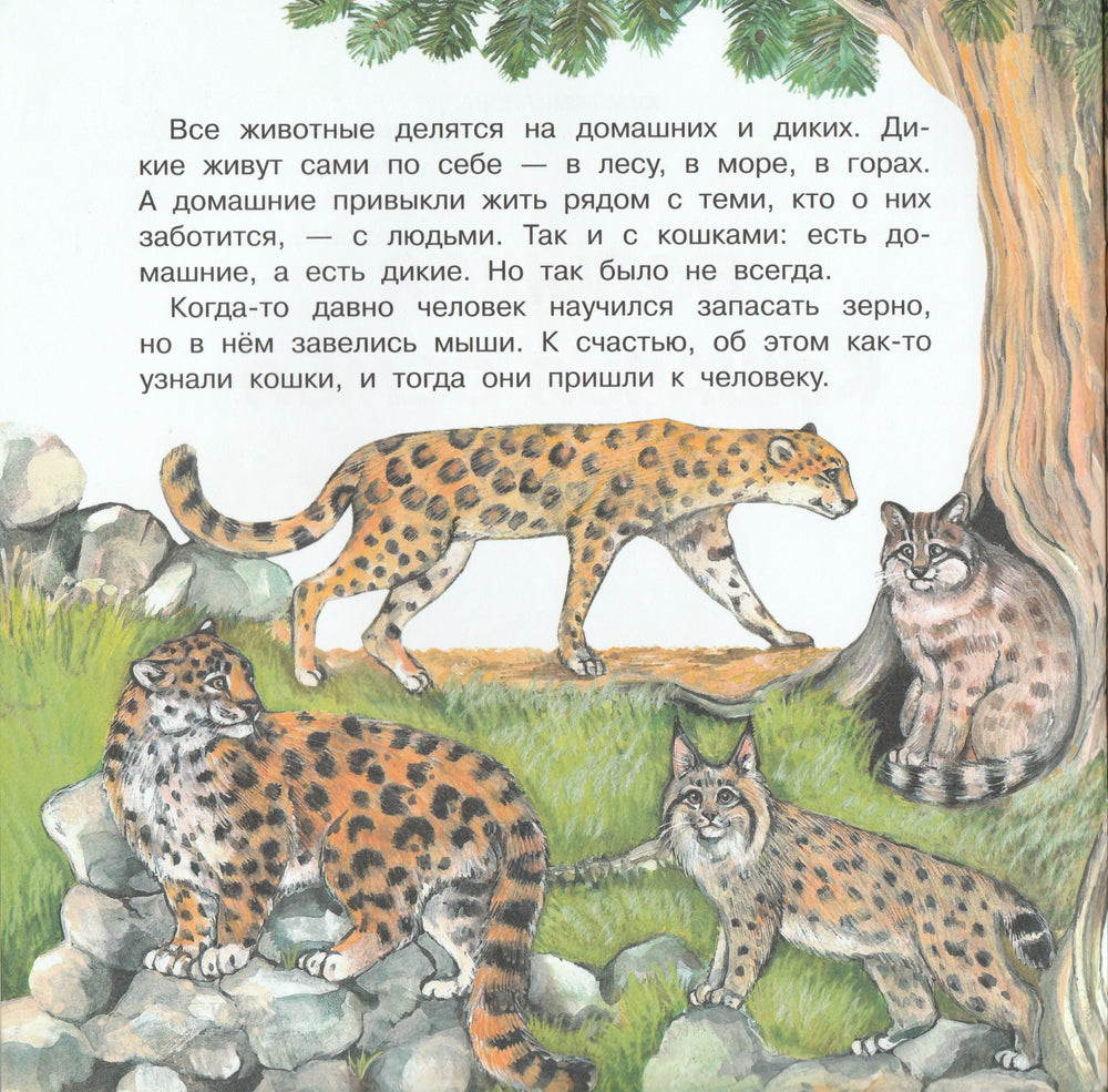 Большая кошачья семья-Смирнова Ю.-Качели-Lookomorie