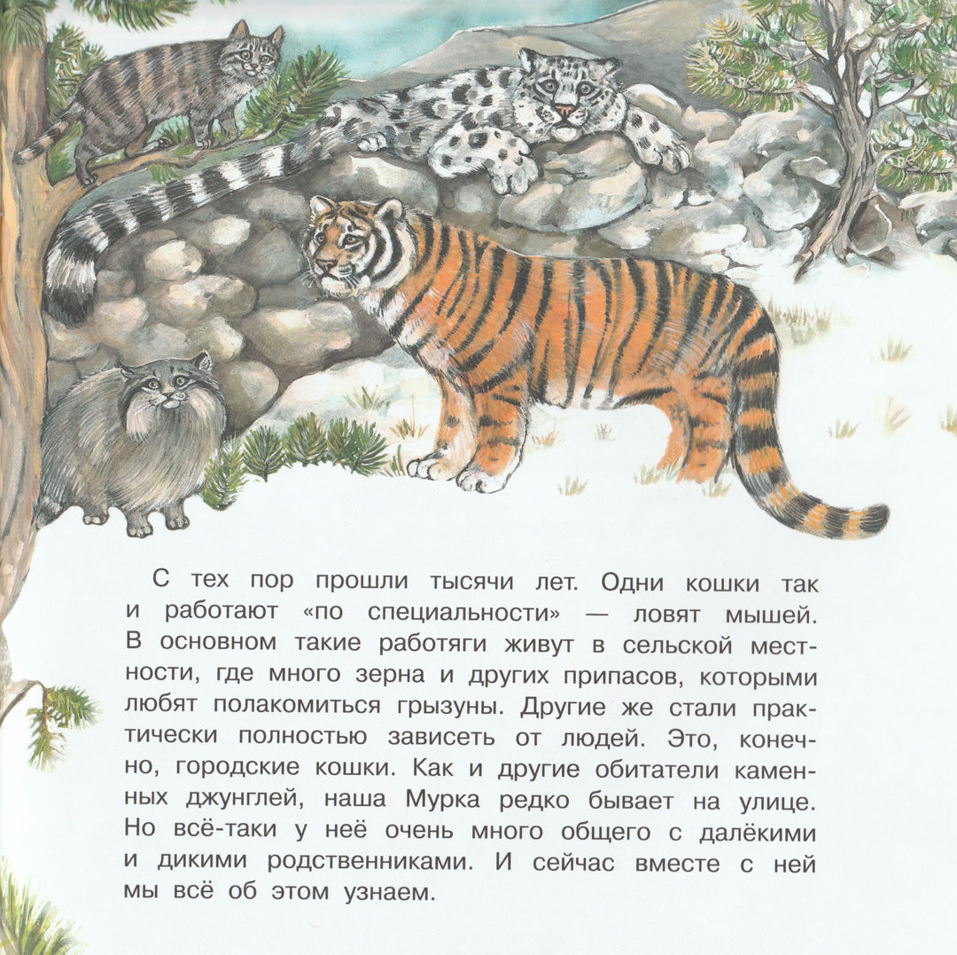 Большая кошачья семья-Смирнова Ю.-Качели-Lookomorie