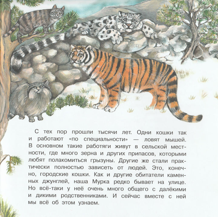 Большая кошачья семья-Смирнова Ю.-Качели-Lookomorie