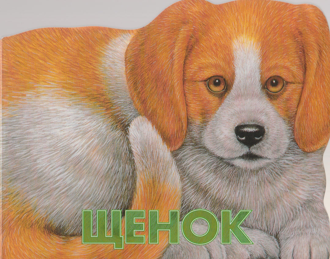 Щенок. Веселые зверята. Книжка-картонка-Карганова Е.-Лабиринт-Lookomorie