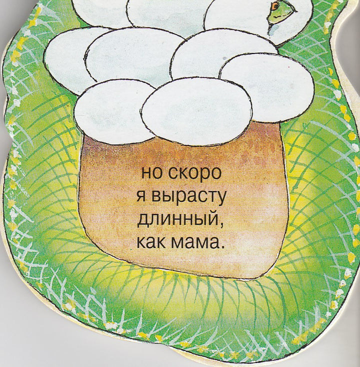 Книжка в кармашек. Питон. Стихи. Книжка-картонка-Сорокина А.-Лабиринт-Lookomorie